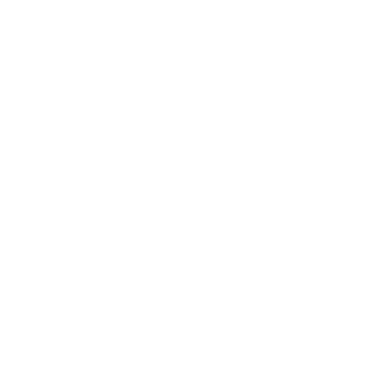 Walking Cat