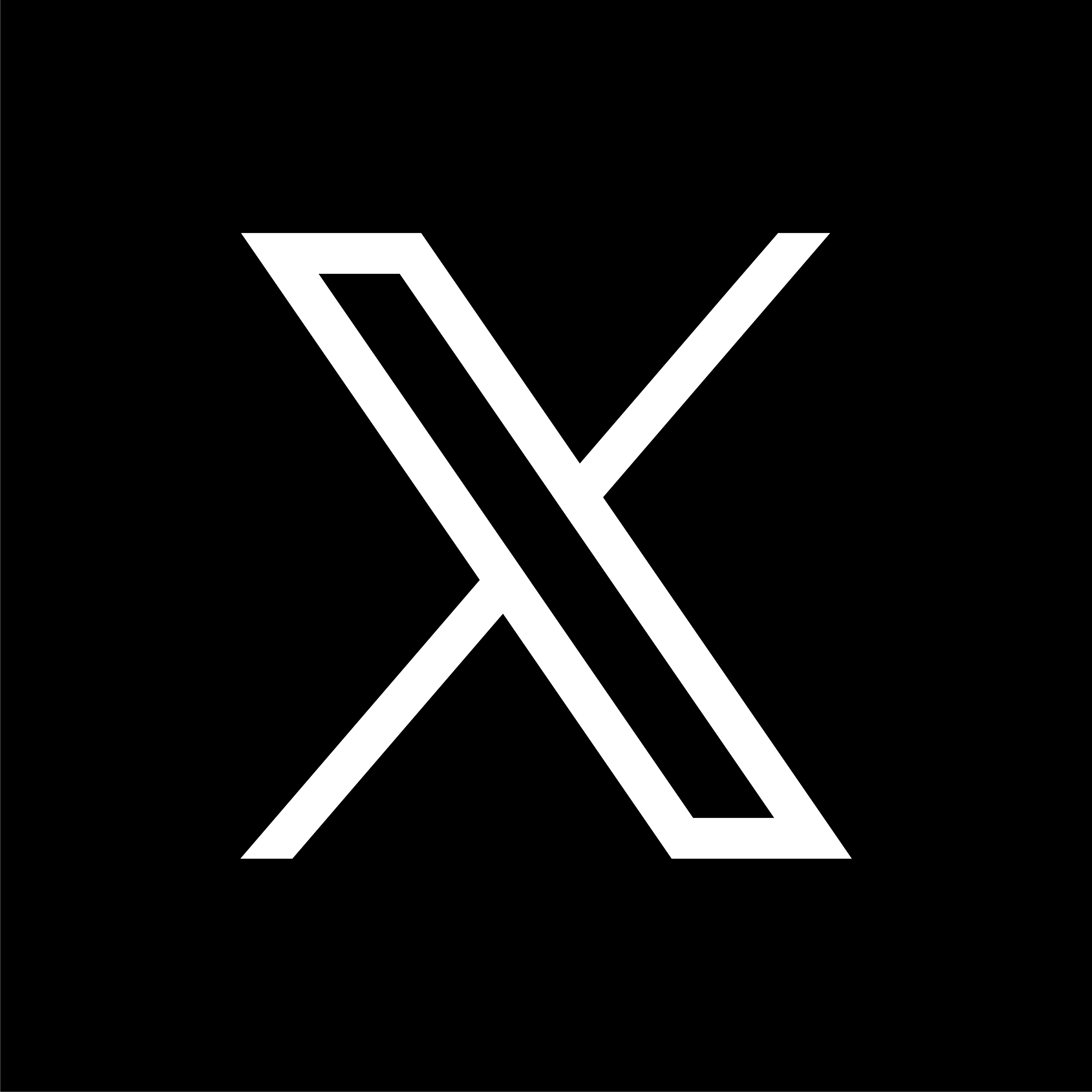 X (Twitter) Logo